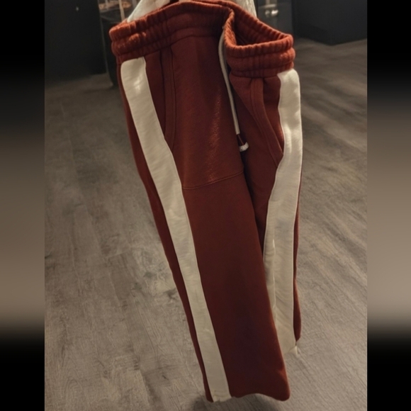 Madewell Rust Wide-Leg Pants with Cream Stripe - Picture 6 of 8